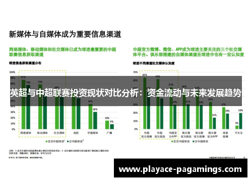 英超与中超联赛投资现状对比分析：资金流动与未来发展趋势