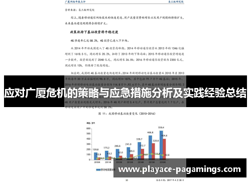 应对广厦危机的策略与应急措施分析及实践经验总结