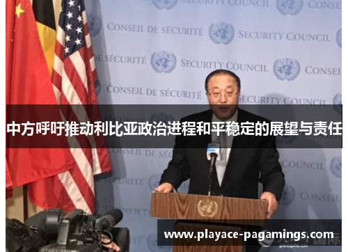 中方呼吁推动利比亚政治进程和平稳定的展望与责任