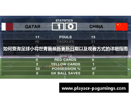 如何查询足球小将世青篇最新更新日期以及观看方式的详细指南