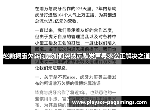 赵鹏揭露欠薪问题如何突破沉默发声寻求公正解决之道