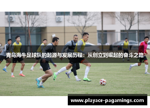 青岛海牛足球队的起源与发展历程：从创立到崛起的奋斗之路