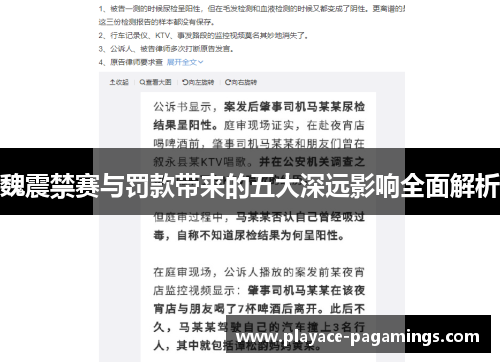 魏震禁赛与罚款带来的五大深远影响全面解析