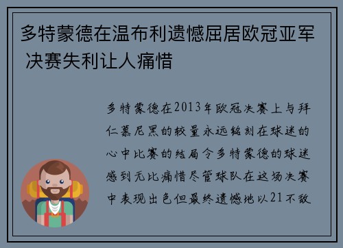 多特蒙德在温布利遗憾屈居欧冠亚军 决赛失利让人痛惜