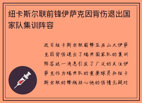 纽卡斯尔联前锋伊萨克因背伤退出国家队集训阵容